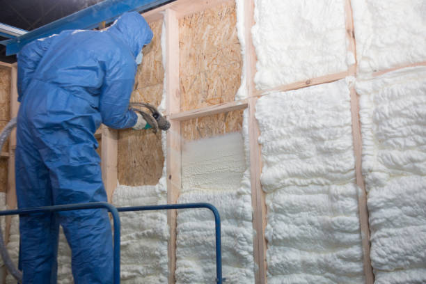 Types of Insulation We Offer in Cheviot, OH